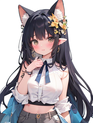 代言人的角色与影响力